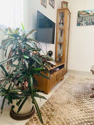 Апартаменты Gara 5 Котор Апартаменты с 2 спальнями-36