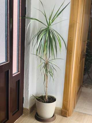 Апартаменты Gara 5 Котор Апартаменты с 2 спальнями-5